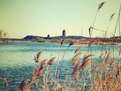 -永定河休闲森林公园