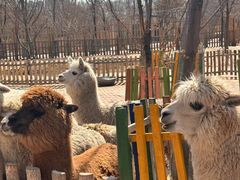 -水上乐园·欢乐世界