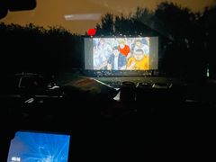 -枫花园汽车电影院(朝阳公园店)