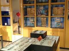 -宝岛眼镜(六里桥店)