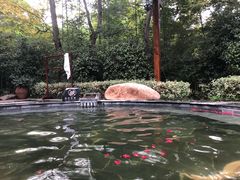 -天目湖御水温泉·度假酒店