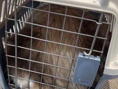 -四月宠物医院·猫专科·心脏专科·内科(转塘店)