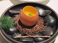 -觀芷隐轩