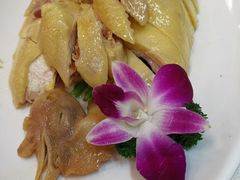 -津津菜馆(绝没分店)