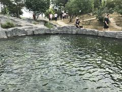 -白洋淀景区
