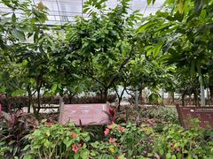 -歌斐颂巧克力小镇