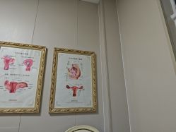 -合肥白领安琪儿妇产医院•妇幼保健