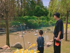 -前小桔亲子创意农场·草莓采摘·露营烧烤