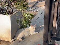 -昆承湖酒家·本帮农家菜
