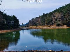 -四明山国家森林公园