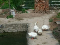 -十渡东湖港风景区