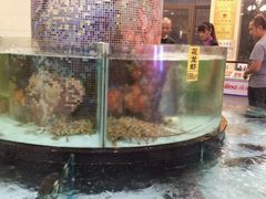 -东豪园林海鲜酒家(南港路辅路店)