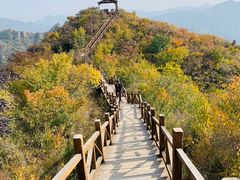 -大岭沟猕猴桃谷风景区