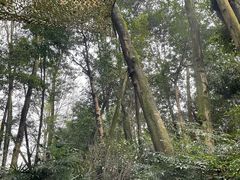 -青城道汤池
