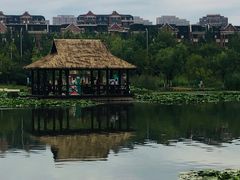 -前关湿地公园