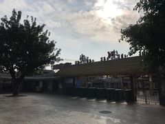 -三亚红色娘子军演艺公园景区