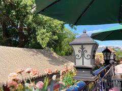 -Sirena海妖日咖夜酒