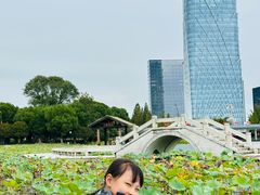 -桐乡凤凰湖