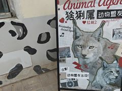 -青藏高原野生动物园