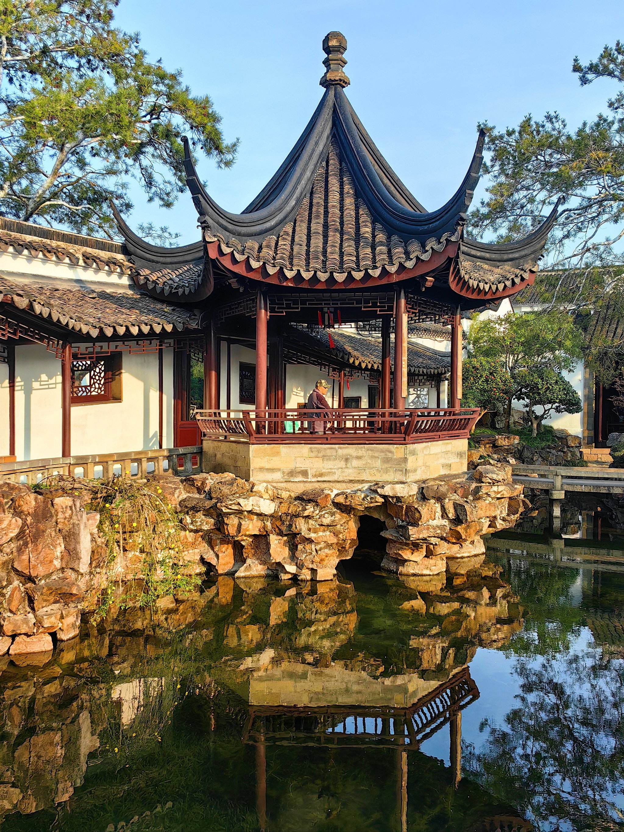 漫步于苏州网师园,园林的玉兰花盛开了