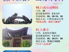 -曹州牡丹园