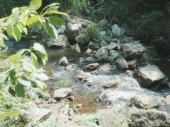 -梁野山景区
