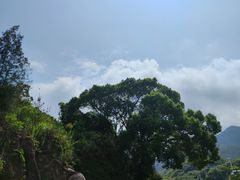 -嵛山岛