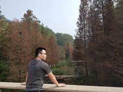 -云溪植物园