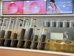 -雾与山茶(大禹城店)