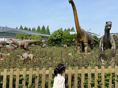 -广州市流溪河国家森林公园