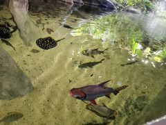 -江和美海洋公园