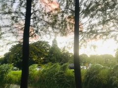 -梁鸿国家湿地公园