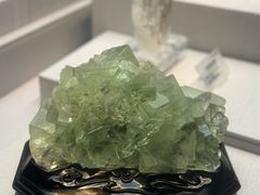 -湖南省地质博物馆