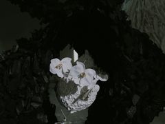 -成都许燎源现代设计艺术博物馆