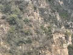 -狼牙山风景区