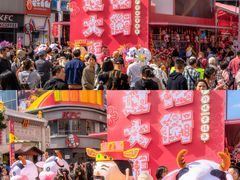 -越秀西湖花市(广州城市广场花卉店)