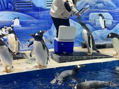 -重庆欢乐海底世界