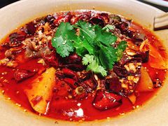 招牌毛血旺-映水芙蓉(上海万象城店)