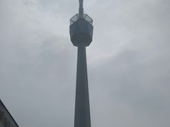 -陕西自然博物馆