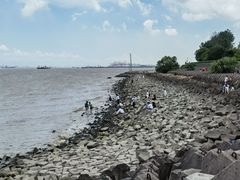 -上海滨江森林公园