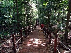 -武吉知马自然保护区