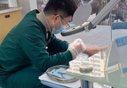 -派恩宜灰指甲鸡眼嵌甲手足癣