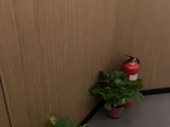 -耳湾躺式采耳SPA馆(保利五月花店)