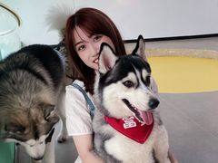 -Husky Go! 哈士奇体验馆·宠物咖啡厅狗咖