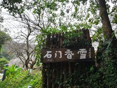-广州市石门国家森林公园