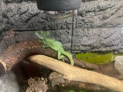 -上海大自然野生昆虫馆