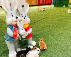 -萌宠亲子动物乐园(槐房万达店)