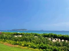 -三亚亚龙湾天域度假酒店