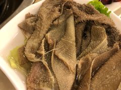 -朱氏胖子烂火锅(洪崖洞店)