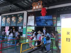 -芦仙山景区-飞越丛林探险乐园